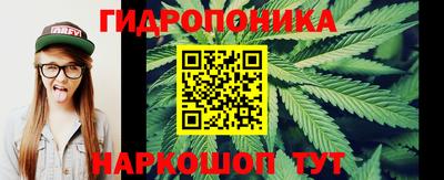 jwh Можга