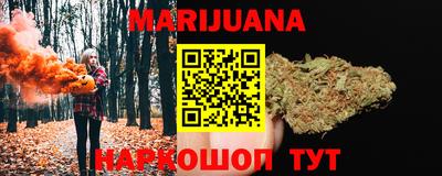 прущие грибы Моздок